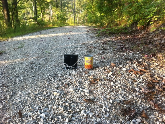 Auxier Ridge, a year after the fire